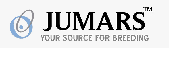 Jumars Seeds