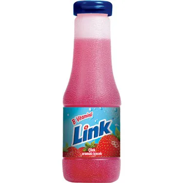 Link