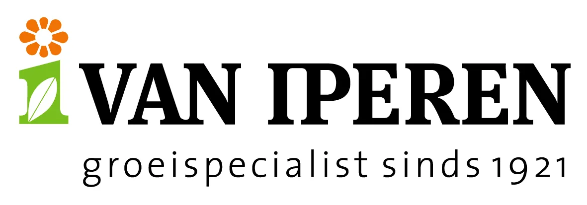 Van Iperen