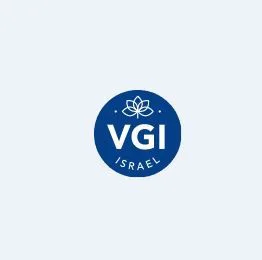 VGİ